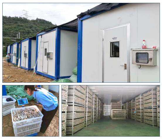 蘑菇智慧化種植解決方案